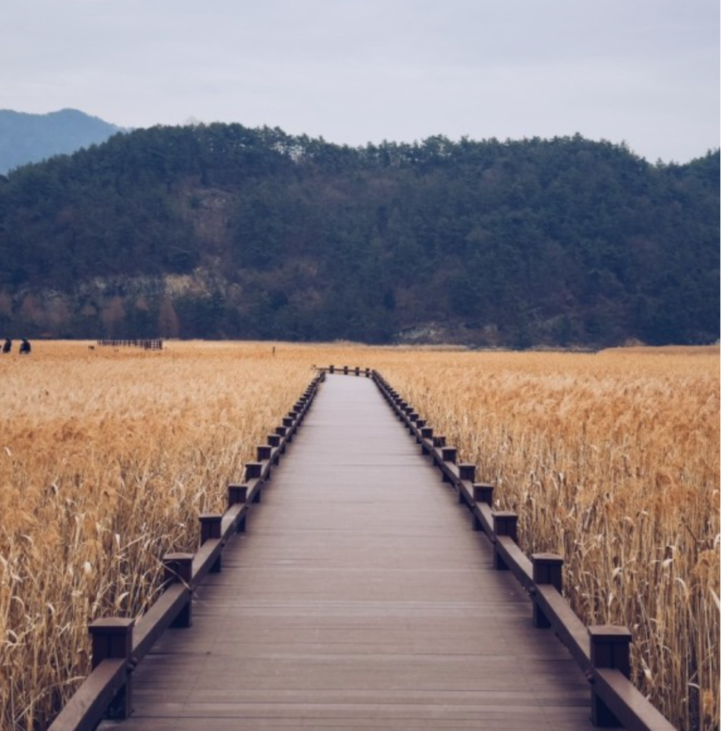 Suncheon Bay Wetland Reserve